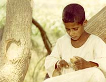 Three by Ateyyat El Abnoudy - The Sandwich