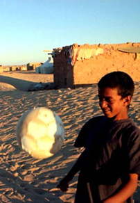 Beat of Distant Hearts: Art of Revolution In Western Sahara